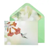 Vellum Hummingbird Greeting Card