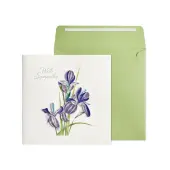 Iris Greeting Card