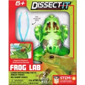 Dissect It Frog Lab