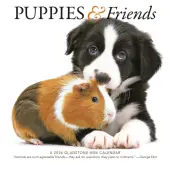 Puppies And Friends 2026 Mini Wall Calendar