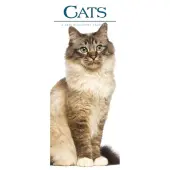 Cats Vertical 2026 Wall Calendar