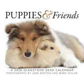 Puppies and Friends 2026 Desk Calendar