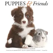 Puppies And Friends 2026 Wall Calendar