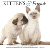 Kittens And Friends 2026 Wall Calendar