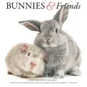 Bunnies and Friends 2026 Wall Calendar
