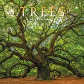 Trees 2026 Wall Calendar
