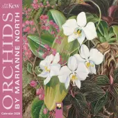Kew Gardens Exotic Plants 2026 Mini Wall Calendar by Marianne North