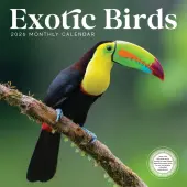 Exotic Birds 2026 Wall Calendar