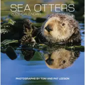 Sea Otters 2026 Wall Calendar
