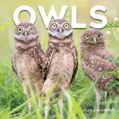 Owls 2026 Wall Calendar