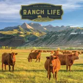 Ranch Life 2026 Wall Calendar