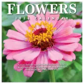 Flowers 2026 Mini Wall Calendar