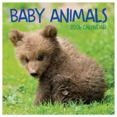 Baby Animals 2026 Mini Wall Calendar