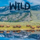 In the Wild Amer Outdoorsman 2026 Wall Calendar