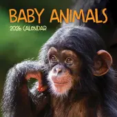 Baby Animals 2026 Wall Calendar