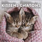 Kittens Bilingual French 2026 Wall Calendar