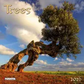 Trees 2026 Wall Calendar