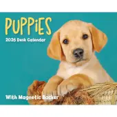 Puppies 2026 Desk Calendar