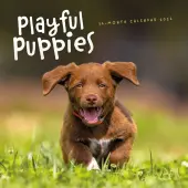 Playful Puppies  2026 Wall Calendar