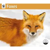 Foxes WWF 2026 Wall Calendar