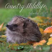 Country Wildlife 2026 Wall Calendar