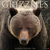 Grizzly Bears 2026 Wall Calendar