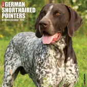 Just German Shorthaired Pointers 2026 Wall Calendar