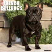 Just French Bulldogs 2026 Wall Calendar