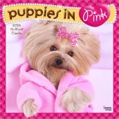 Puppies in Pink 2026 Wall Calendar
