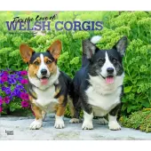 Welsh Corgis Deluxe 2026 Wall Calendar