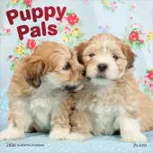 Puppy Pals Plato Special Value 2026 Wall Calendar