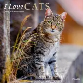 I Love Cats Plato  2026 Wall Calendar