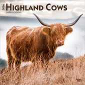 Highland Cows 2026 Wall Calendar