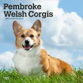 Welsh Corgis Pembroke 2026 Wall Calendar