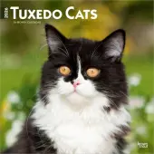 Tuxedo Cats 2026 Wall Calendar