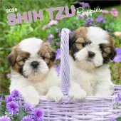 Shih Tzu Puppies 2026 Wall Calendar