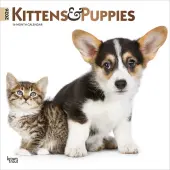 Kittens And Puppies Special Value 2026 Wall Calendar
