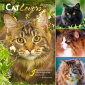 Cat Lovers Special Value 2026 Wall Calendar