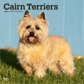 Cairn Terriers 2026 Wall Calendar