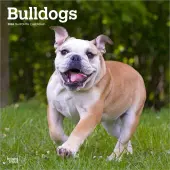 Bulldogs 2026 Wall Calendar