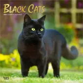Cats Black 2026 Wall Calendar