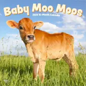Baby Moo Moos 2026 Wall Calendar
