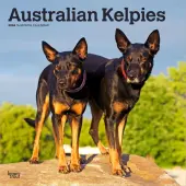 Australian Kelpies 2026 Wall Calendar