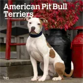 Pit Bull Terriers 2026 Wall Calendar