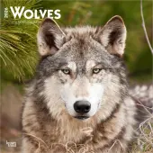 Wolves 2026 Special Value Wall Calendar