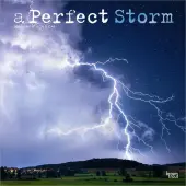 Perfect Storm Special Value 2026 Wall Calendar