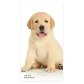 Puppies I Love 2026 2 Year Pocket Planner