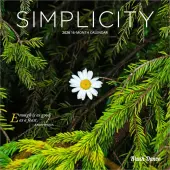 Simplicity Special Value 2026 Mini Wall Calendar