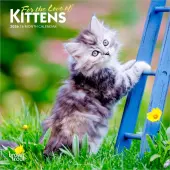 Kittens Love of 2026 Mini Wall Calendar