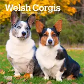 Welsh Corgi 2026 Mini Wall Calendar